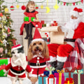 Miniatyrbillede 6 af 8: Julemand Kostume til Små Hunde - Julekostumer til Kæledyr Style2 S