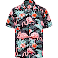 Miniatyrbild 2 av 6: Hawaiian skjorta och shorts set för män Style 4 L