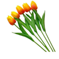 Miniatyrbild 1 av 5: 5PC tulpan simulering blommor falska blommor bukett Orange