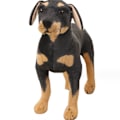 Miniatyrbild 1 av 8: Plushdjur i svart labrador/pitbull-mix 70cm