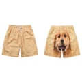 Miniatyrbillede 2 af 5: Sjove Gyldne Shorts - Parrets Afslappet Gåtur, Loungewear, Søde Tegneserie Shorts 2XL