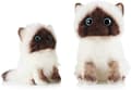 Knusende Emuleret Siamese Kat Plysdyr Legetøj 20cm