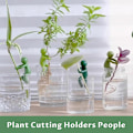 Miniatyrbillede 6 af 8: Plant Propagation Buddy, Plantestøtte til Spirer, Stængler, Skud og Stiklinger 3PCS