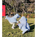Pikkukuva 4 / 10: Pikkulapselle tarkoitettu haihäkkihuppari 3D-hännällä
