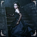 Miniatyrbilde 5 av 7: Lange hansker for kvinner, mesh-tulle hansker Black