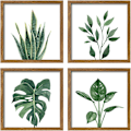 Miniatyrbild 1 av 7: 4 paneler Botanisk inramad bildram Collage Set