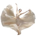 Miniatyrbild 1 av 7: 720 Silky Sheer Chiffon Elastisk Midja Lång Danskjol för Magdans Beige 95cm
