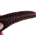 Miniatyrbillede 9 af 9: Djævelshorn Pandebånd Sort Cosplay Horn Hårbøjle