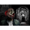 Pikkukuva 5 / 9: Halloween-pelottavat naamiot Lateksipelottavat klovnaamiot White Red