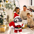 Miniatyrbillede 2 af 8: Julemand Kostume til Små Hunde - Julekostumer til Kæledyr Style2 S