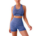 Pikkukuva 1 / 5: Naisten 2-osainen saumaton kylkiluinen crop-tankki ja korkeavyötäröiset shortsit treenisetti BLUE L/XL
