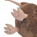 Miniatyrbillede 4 af 5: Kiwi Fugl 11 tommer Plyslegetøj, Blødt Legetøj, Fyldt Dyr