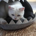 Miniatyrbilde 4 av 5: Kattestøvsvarmer Hot Cat Mat Hai-formet hus Varmt bur Kattunge seng Grey
