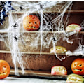 Miniatyrbild 3 av 3: Halloween Stretch Spider Webs Spöklika Spider Webbing 280g+30 spiders