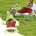 Miniatyrbillede 4 af 5: Hvalpe Julekostume, Hvalpe Grinch Hoodies XL