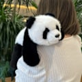 Miniatyrbild 3 av 10: Panda Plyschdjur Mjuk Leksak Söta Mjuka Kroppsdocka 30*26*15cm