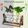 Miniatyrbillede 3 af 8: Plant Propagation Buddy, Plantestøtte til Spirer, Stængler, Skud og Stiklinger 3PCS
