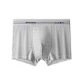 Miniatyrbild 1 av 10: Herr Ice Silk Boxer Mesh Brief Andas Kyl Underkläder Light Grey 2XL