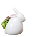 Miniatyrbild 1 av 5: Sukkulenter liten kanin vit porslinsplanter STYLE 4