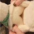 Miniatyrbillede 7 af 10: Andesko Slippers til Kvinder Fuzzy Dyr Plys Slippers Dark Grey 42-43