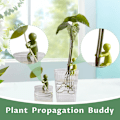 Miniatyrbillede 7 af 8: Plant Propagation Buddy, Plantestøtte til Spirer, Stængler, Skud og Stiklinger 3PCS