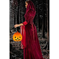 Miniatyrbillede 3 af 10: Deluxe Hexe Kjole Kostume til Kvinder, Vintage Broderet Renaissance Gotisk Hættede Vampyr Kjole Black L