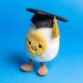 Miniatyrbilde 5 av 5: Jellycat Amuseables Kokt Egg Student Kosedyr, 14 cm - Matplysj - Morsom Eksamensgave ILX