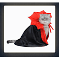 Miniatyrbillede 2 af 4: Pet Halloween kostume Sød Cosplay Cape Vampire Cat Dog Cape W black+red One size
