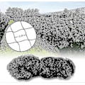 Miniatyrbillede 2 af 4: 15m x 15m Fuglebeskyttelsesnet Fuglenet Plante Net Dam Net Have Net Til Have, 5 x 5 cm Store Huller