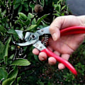 Miniatyrbillede 2 af 4: ARS-VS-8XZ beskæresaks, præcisionsklipper, professionel havemodel, højkvalitetsværktøj til alle plantestørrelser