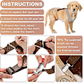 Miniatyrbillede 5 af 5: 2 Stykker Hundebleseler Mavebælter Hundesele Holder Bleen På Din Hund Til Små Mellemstore Og Store Hunde (sort, Brun, Lille) Lille-YUHAO