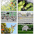 Miniatyrbillede 4 af 4: 15m x 15m Fuglebeskyttelsesnet Fuglenet Plante Net Dam Net Have Net Til Have, 5 x 5 cm Store Huller