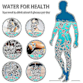 Miniatyrbillede 3 af 3: Hydrogen Generator Vandflaske, Real Molecular Hydrogen Rich Water Generator Ionizer Maker Machine Flaske Med Spe Chamber Technology Hydrogen Vand
