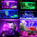 Miniatyrbild 3 av 5: Led-akvarieljus, undervattensbelysning, Rgb-färg Ip68 vattentätt dykrör, med fjärrkontroll, 15 lysdioder 5050 Smd, 28cm, 3.8w