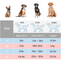 Miniatyrbilde 5 av 5: Hundehette med hette Red L