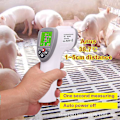 Miniatyrbilde 3 av 5: Kjæledyrtermometer, Dyr Kjæledyr Katt Hund Storfe Sau Gris Kanin Infrarød Berøringsfri Termometer Tingquan