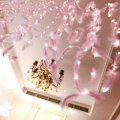 Miniatyrbillede 5 af 5: 300 LED fjerlys streng lampe strimmel med fjernbetjening til hjem soveværelse indendørs ren hvid