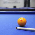 Pikkukuva 5 / 5: 30 kpl Biljardikeppi Kierrettävät Tipit 12mm Vaihto Biljardikeppien Tipit Biljardikeppeihin ja Snookeriin