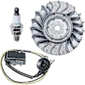 Pikkukuva 1 / 4: Flywheel-sytytyskelapaketti sytytystulpalla Stihl MS251 MS 251c:lle, korvaa 1143 400 1203