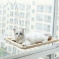 Miniatyrbild 1 av 5: Cat Window Hammock Cat Window Hammock Cat Window Sittsäng med Bu