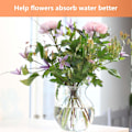 Miniatyrbild 4 av 5: Bukettvridare för Blomsterarrangemang, Transparent Ikebana Spiral S