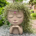 Miniatyrbild 1 av 5: Ansiktsblomkruka Huvudkruka Succulent Kruka Kruka Kaktus Kruka