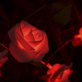 Miniatyrbild 4 av 5: 20 LED USB-drivna Premium String Flower Romantic Rose Fairy Lig
