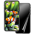 Miniatyrbild 1 av 11: iPhone XR 2-PACK Skärmskydd Fram- & Baksida 9H Nano-Soft Transparent/Genomskinlig