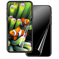Miniatyrbild 2 av 11: Fram- & Baksida iPhone XS Max 3-PACK Skärmskydd 9H Nano-Soft Transparent/Genomskinlig Transparent/Genomskinlig