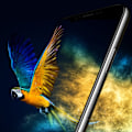 Pikkukuva 6 / 11: iPhone 11 5-PACK Skärmskydd 2.5D Ram 9H 0,3mm Svart Svart