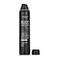 Miniatyrbild 2 av 4: SVART ROT TOUCH UP SPRAY 200 ML