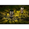 Miniatyrbillede 11 af 11: Havesollampe Dekorationslys Vejlys - varmt lys Black