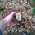 Miniatyrbillede 5 af 8: Realistisk sten reservenøgle Hides Key skjult opbevaringsboks Black