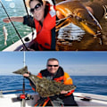 Miniatyrbild 5 av 6: 100m Nylon fiskelina Rivsäker sötvatten Havsvatten fisketråd - storlek 2.5 Transparent